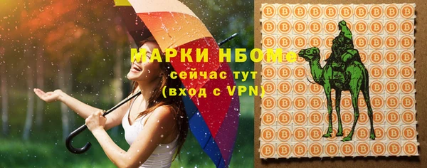 амф Алзамай