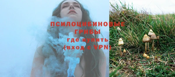 амф Алзамай