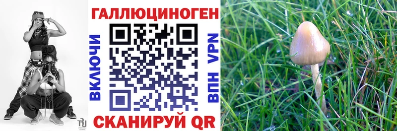 Псилоцибиновые грибы ЛСД  Арзамас 